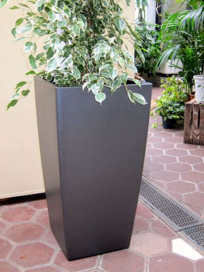 Innenraumbegrünung Blumenhaus Schomäcker