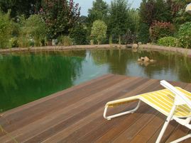 Teich- und Schwimmanlagen das Grün-Team