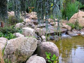 Teich- und Schwimmanlagen das Grün-Team