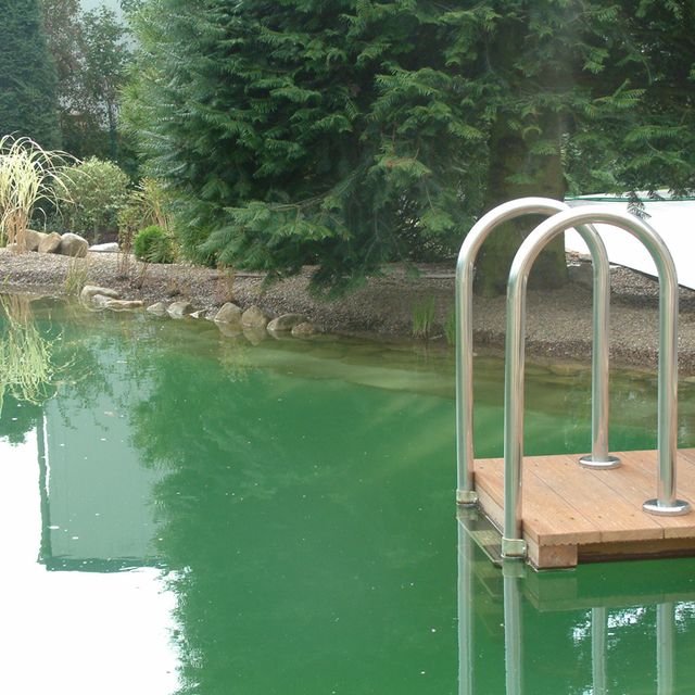 Teich- und Schwimmanlagen das Grün-Team